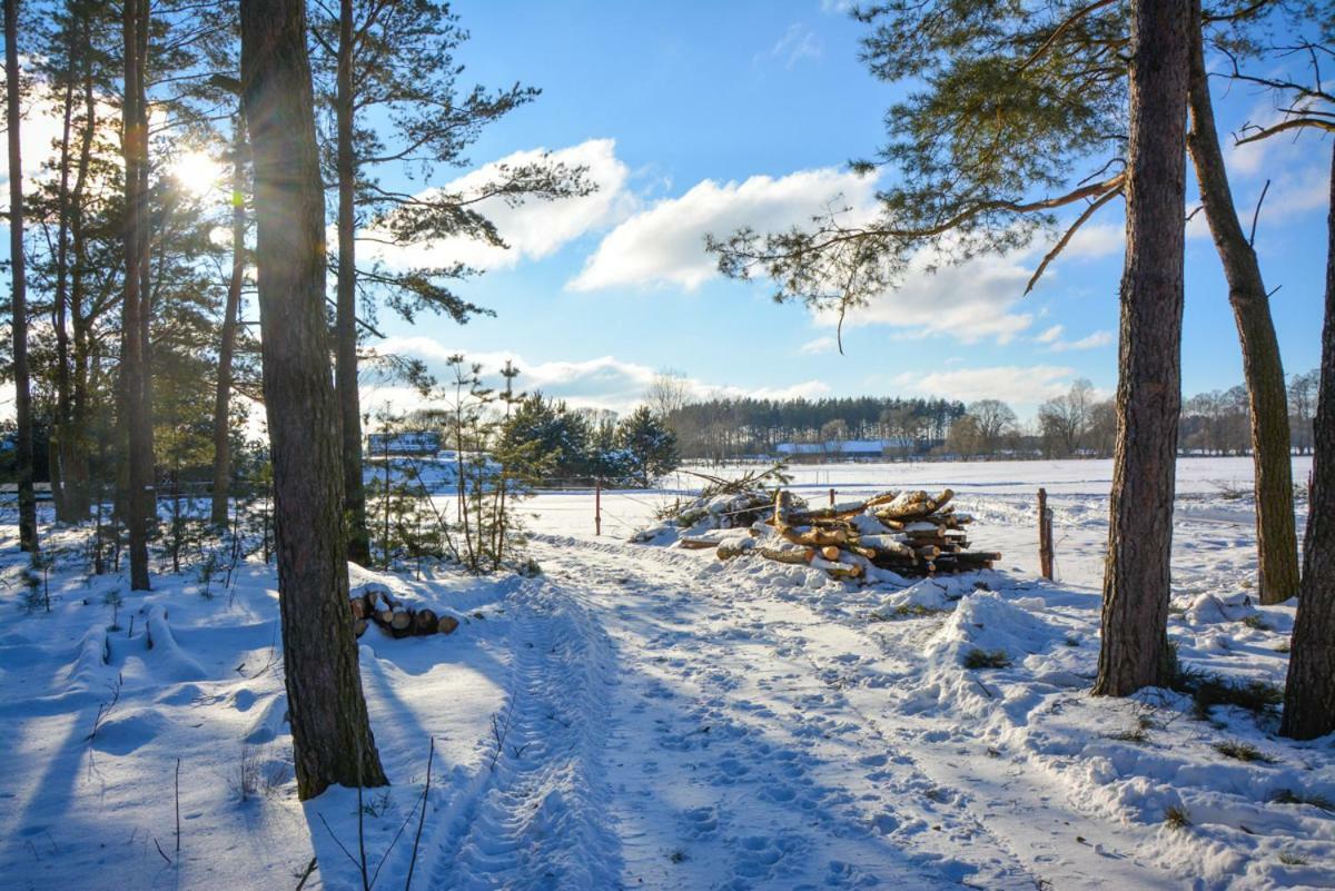 Agroturystyka Zubr Villa Siemianowka Eksteriør bilde